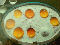 Gepökelte Eigelb