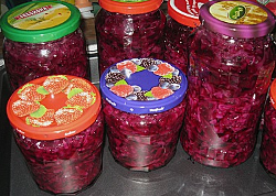 Rotkohl einmachen